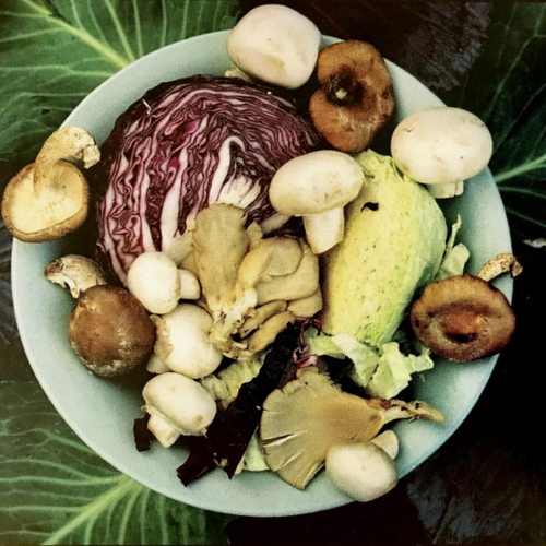 Cabbage Mushrooms Pasta