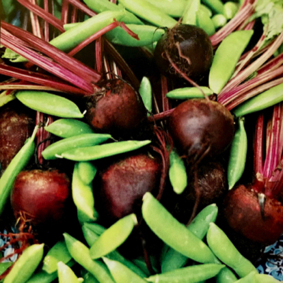 Beet and Sugar Snap Salad