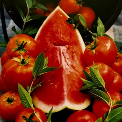 Watermelon Tomato Feta Salad