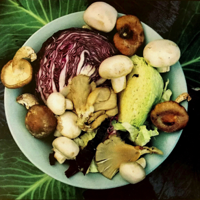 Cabbage Mushrooms Pasta