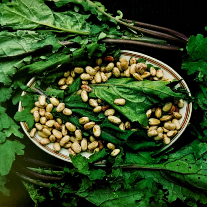 Kale and Bean Gratin