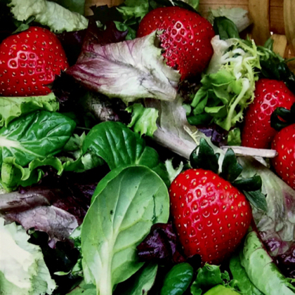 Strawberries Mesclun Salad